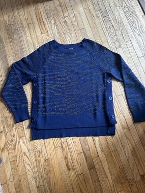 Stella & Dot Purple Metallic Stripe Knit Sweater